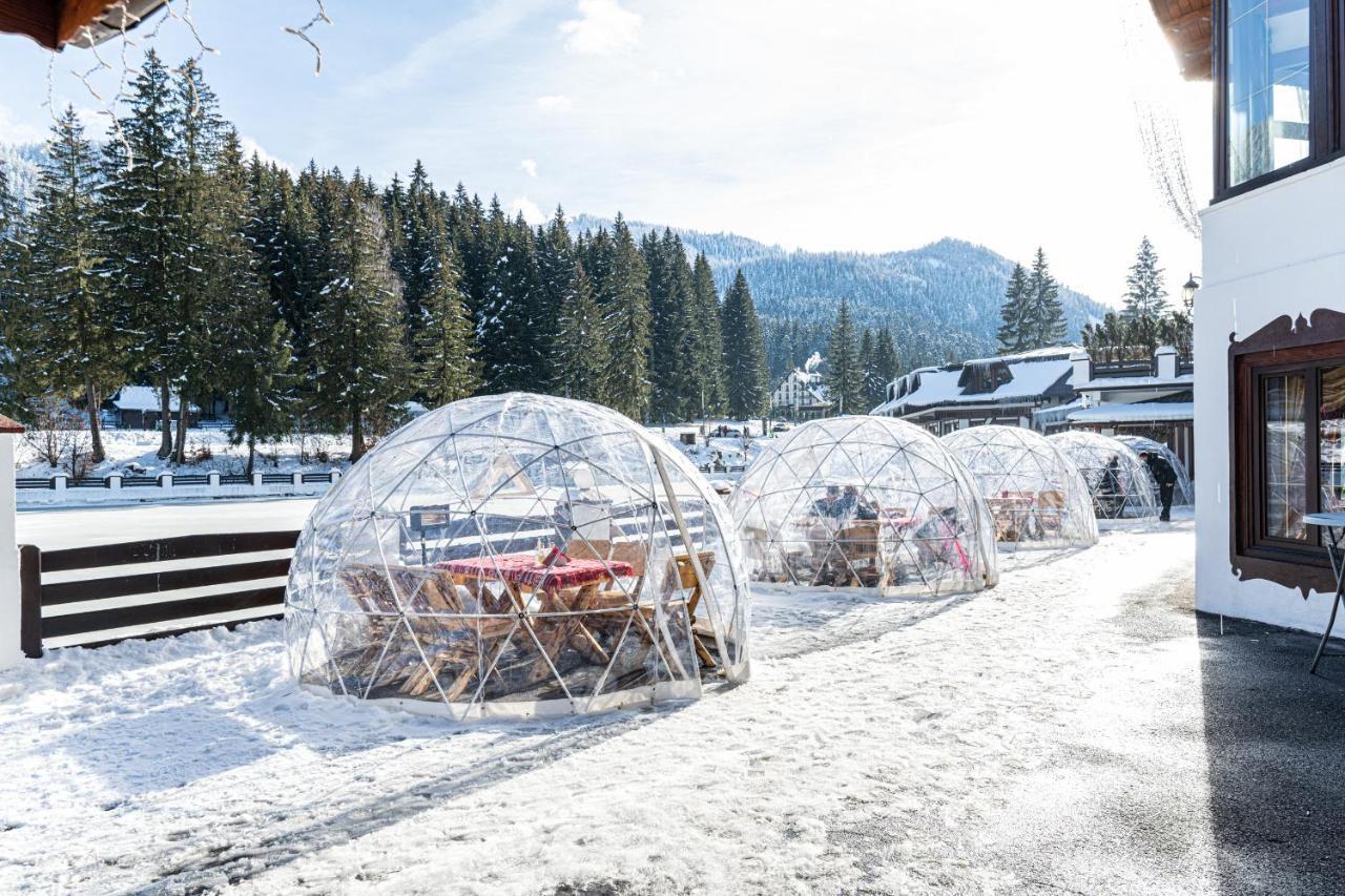 Vila Miorita Poiana Brasov Luaran gambar